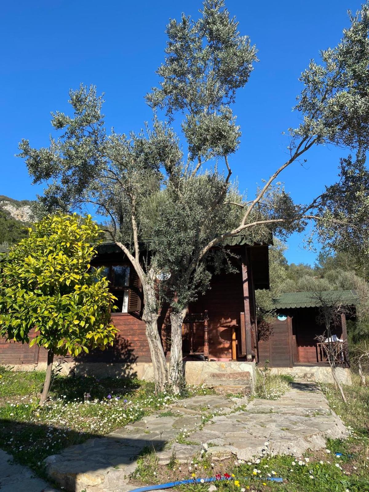 Hotel Olympos Talara By Arzum Kumluca Exterior foto